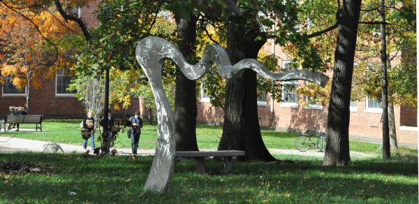 Fall At CSI
