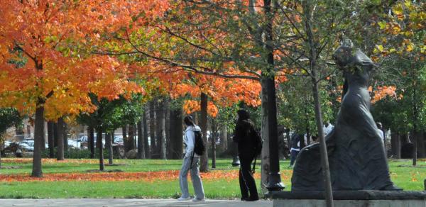 Fall at CSI