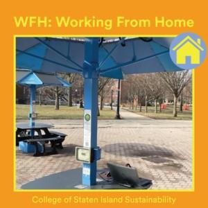 Working From Home Award rking From Home Award" Alt text "Picture of the blue solar umbrellas at CSI with the laptop charged with solar power