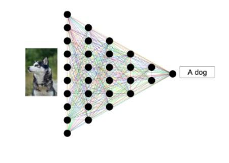 AI a dog Ai a dog